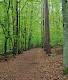 Nature of all