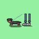 PetPerson