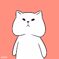 Cat Non