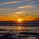 One Of Days By Shaun R. Smith