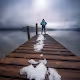 Visions of the World