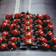 Realniscious - Formula 1
