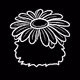 Flower Guys