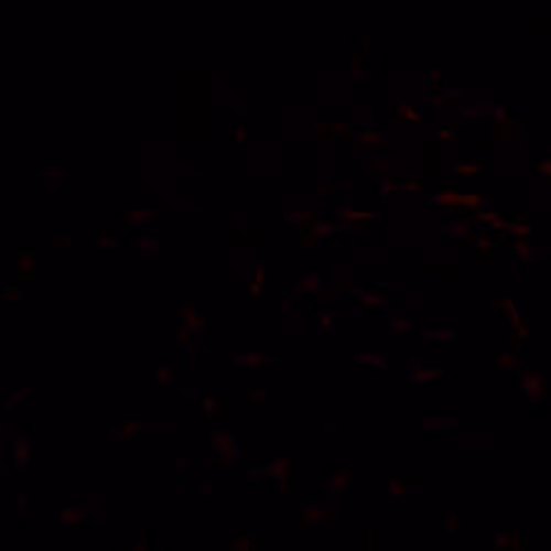 1/1s by Michael Boegl (old contract)