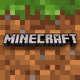 Minecraft Chracter