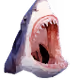Animal View