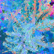 GRVPH1C VRT