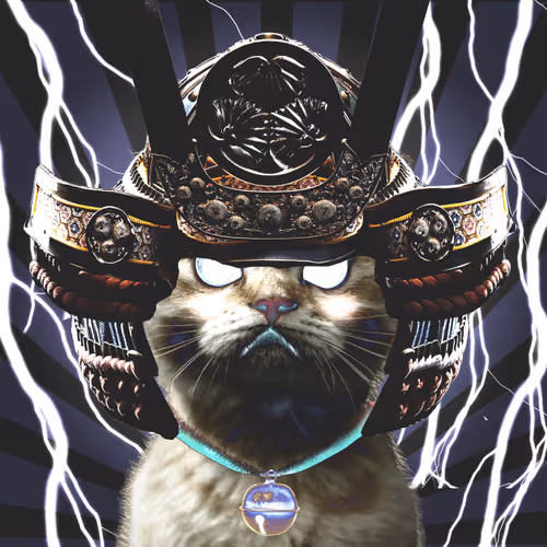 NYANDA_CATS