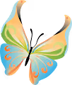 Colorful Butterflies - old