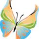 Colorful Butterflies - old