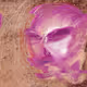 Sarkin Remixed