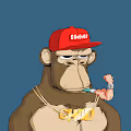 Chad Ape Gym Club I CAGC