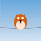_chirp__chirp_