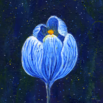 Revival of Kate Reafreak