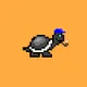 Timid Turtles