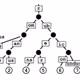 test-nft-11