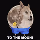 Dumb Doge Memes