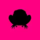 Grumpy toads swamp