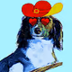 Crypto Weeniez Vol. 1