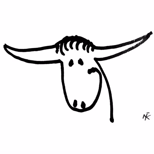 bulls - be wild & bullish