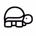 Turtle Wayne