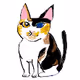 ZZomany Kitten