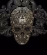 KRYPTOSKULLS