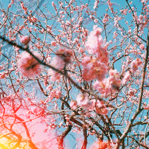 Breath of Spring - Derech