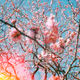 Breath of Spring - Derech