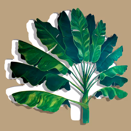 TRAVELER PALM
