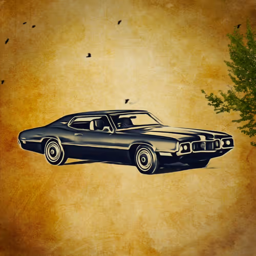 Ford Thunderbird 1971 - old