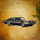 Ford Thunderbird 1971 - old