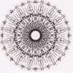Skurvy Dogg