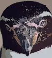 penguins looking for you - old
