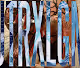 BRONXLYN - JAYPROB X ROCKY SNYDA
