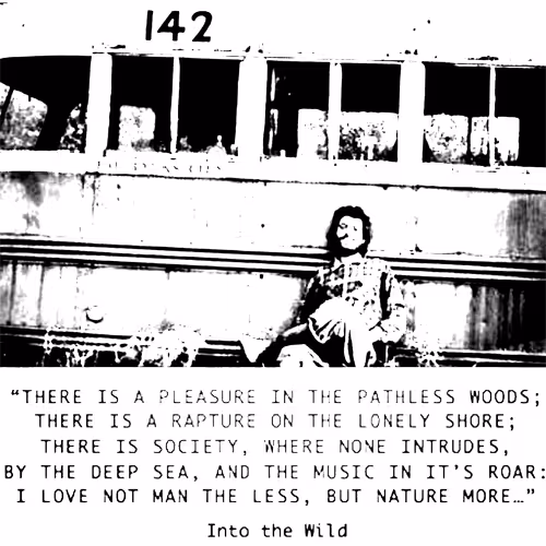 Into The Wild In memory of Chris McCandless