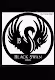 black swan creek