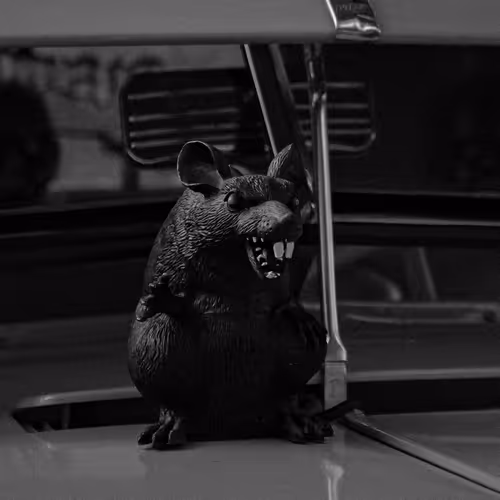 2 WATCH OUT FOR RATS. floor 0.002