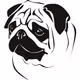Mister Mops