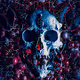 Skulls of Terror