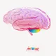 BRAINLEAK: Genesis