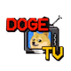 DogeTVHeads
