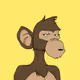 SUSmonkeys - Rare edition