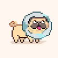 Polypugs