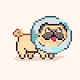 Polypugs