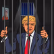 Free Trump