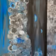 Globular Deposits