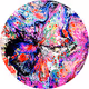 Abstract Butterfly Beauty