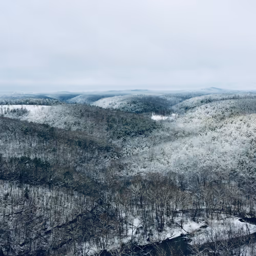 Editions by @morrow_megan