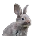 Pixel Art - Animals